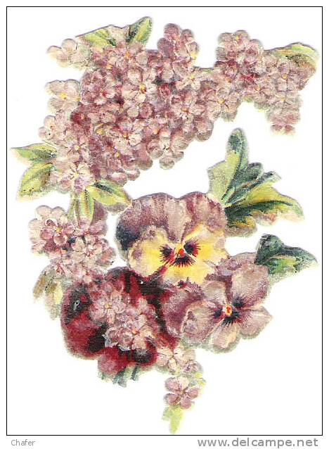 Découpis   - Bouquets De Fleurs - Pensées & Lilas - Flowers