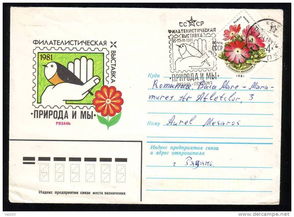 BIRDS -  PMK,COVER STATIONERY & STAMPS 1981 RUSSIA!!. - Mouettes