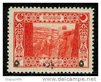 ● TURKIYE  -  IMPERO  OTTOMANO  - 1917  -  N.  569  *   -  Lotto 243 - Nuevos