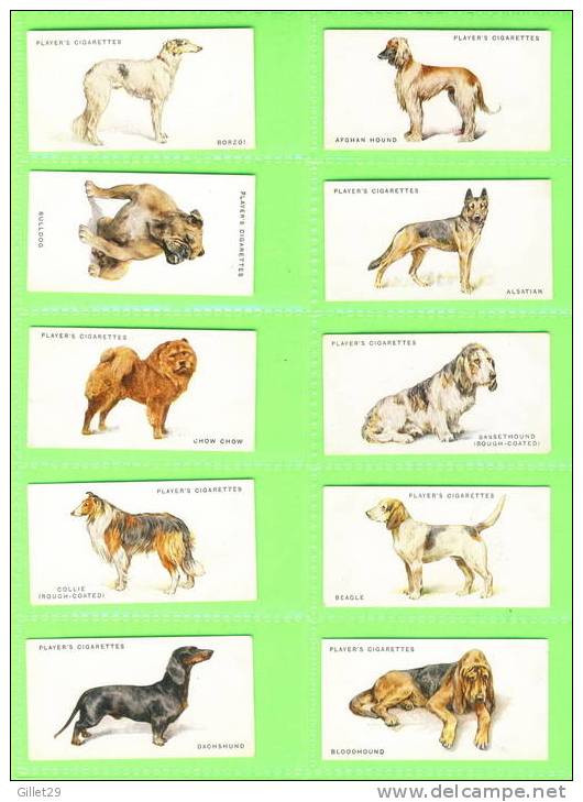 CARTES CIGARETTES CARDS - John Player & Sons, Dogs (Full Length) By Arthur Wardle.full Set Of 50 Cards1931 - - Player's