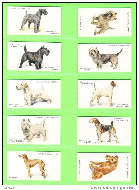 CARTES CIGARETTES CARDS - John Player & Sons, Dogs (Full Length) By Arthur Wardle.full Set Of 50 Cards1931 - - Player's