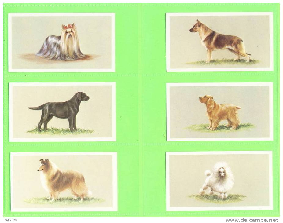 CARTES CIGARETTES CARDS - Grandee, TOP DOGS COLLECTION - COMPLETE SET OF 25 Cards Issued In 1979.- JOHN PLAYER & SONS - Player's