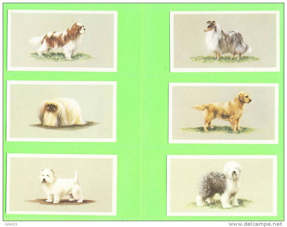 CARTES CIGARETTES CARDS - Grandee, TOP DOGS COLLECTION - COMPLETE SET OF 25 Cards Issued In 1979.- JOHN PLAYER & SONS - Player's