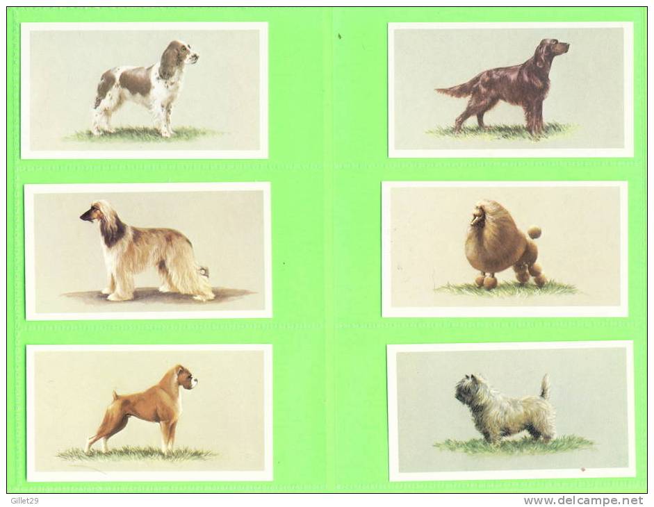 CARTES CIGARETTES CARDS - Grandee, TOP DOGS COLLECTION - COMPLETE SET OF 25 Cards Issued In 1979.- JOHN PLAYER & SONS - Player's