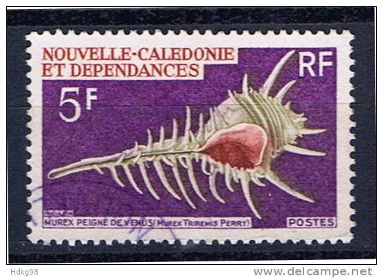 NC+ Neukaledonien 1969 Mi 470 Meeresschnecke - Used Stamps