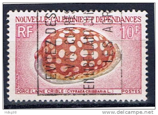 NC+ Neukaledonien 1970 Mi 486 Meeresschnecke - Used Stamps