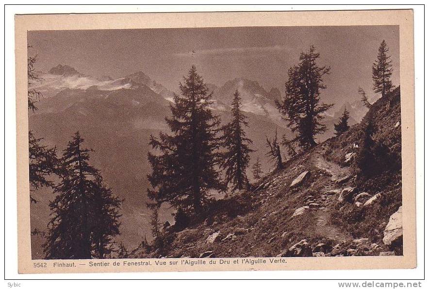 FINHAUT  - Sentier De Fenestral , Vue Sur L'Aiguille Du Dru Et L' Aiguille Verte - Finhaut