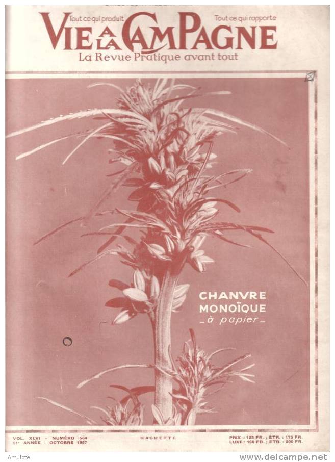 La Vie à La Campagne- Chanvre Monoïque à Papier -HACHETTE- 1957 - Jardinage