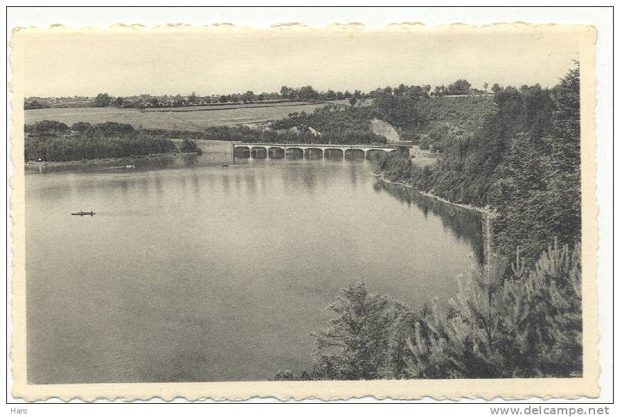 ROBERTVILLE - Le Lac Et Le Pont De Waterloo -(Y31)- Fagnes. - Weismes