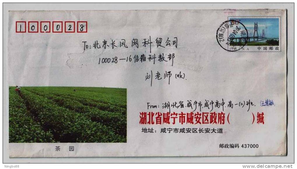 Green Tea Garden In Hilly Country,China 2003 Xianning Tea Industry Advertising Postal Stationery Envelope - Andere & Zonder Classificatie