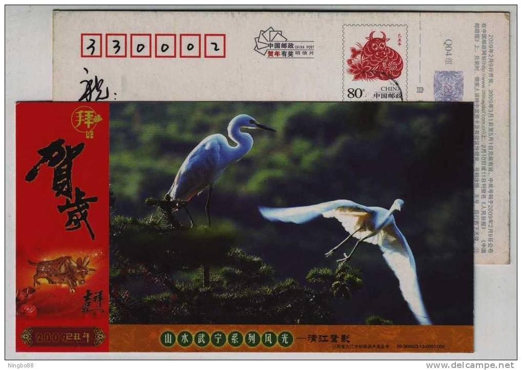 Egret Bird,China 2009 Wuning Landscape Advertising Pre-stamped Card - Cigognes & échassiers