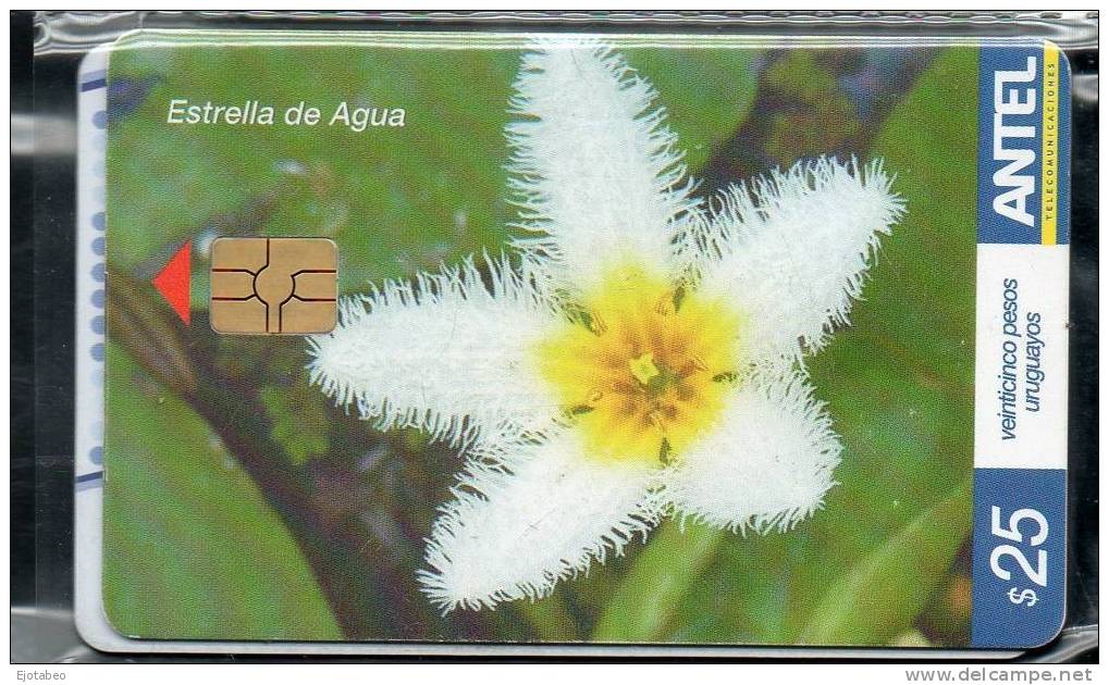 13 URUGUAYTarj.Telefónica 472a Flores-Estrella De Agua - Uruguay
