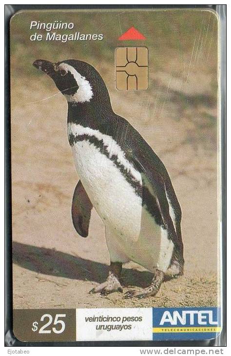 21  URUGUAY Tarj.Telefónica 269a Pájaros-Pinguino De Magallanes - Uruguay