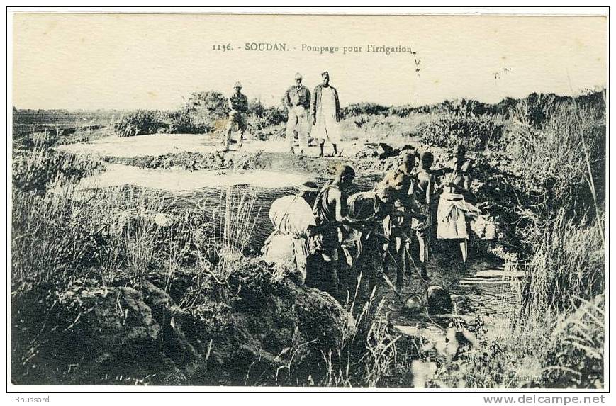 Carte Postale Ancienne Soudan - Pompage Pour L'irrigation - Agriculture - Sudán