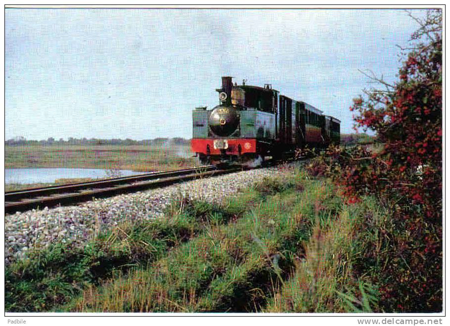 Carte Postale 80. Saint-Valery Le Petit Train  Trés Beau Plan - Saint Valery Sur Somme