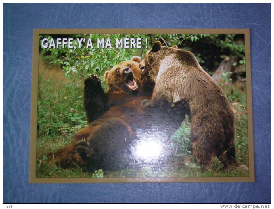 VDS CARTE POSTALE G'AFFE, Y'A MA MERE !  DIXIT L'OURS - Osos