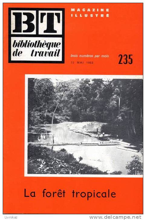 BT N°235 (1953) : La Forêt Tropicale. Les Pygmées, Fromager, Parasolier, Acajou. Bibliothèque De Travail. Freinet. - 6-12 Years Old