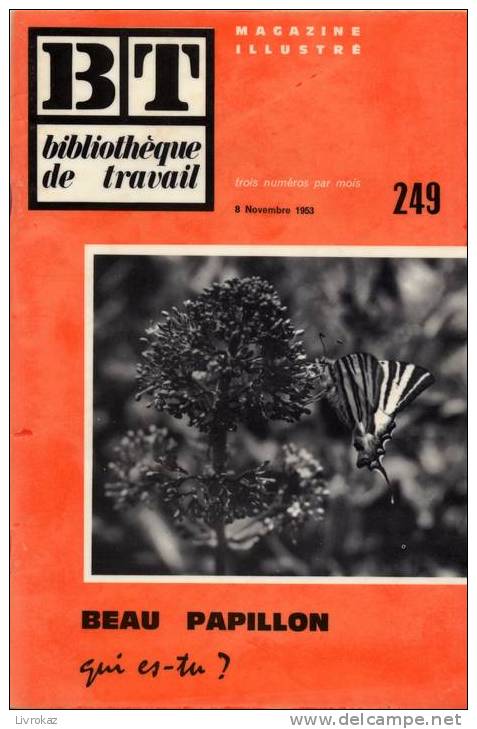 BT N°249 (1953) : Beau Papillon Qui Es-tu ? Insectes. Bibliothèque De Travail. Freinet. - 6-12 Years Old