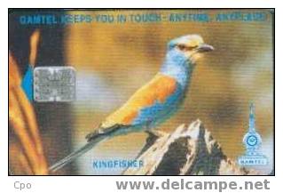 # GAMBIA 6 Kingfisher 125   -oiseaux,birds- Tres Bon Etat - Gambia