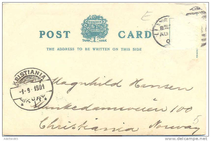 Bettws-y-coed, Fairy Glen 1901, Peacock PC, LLandudno +Kristiania Norway Postmark - Caernarvonshire