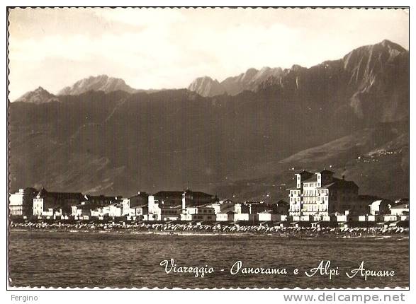 5088/FG/09 - VIAREGGIO (LUCCA) - Panorama E Alpi Apuane - Viareggio