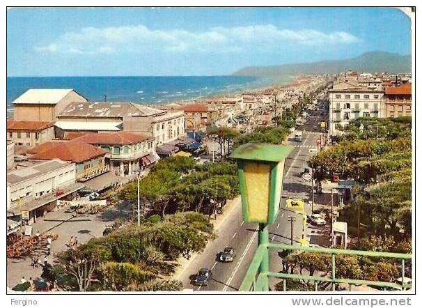 5100/FG/09 - VIAREGGIO (LUCCA) - Viali A Mare - Viareggio