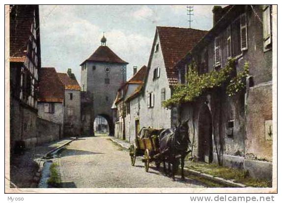 68 TURCKEIM, Attelage Avec Cheval - Turckheim