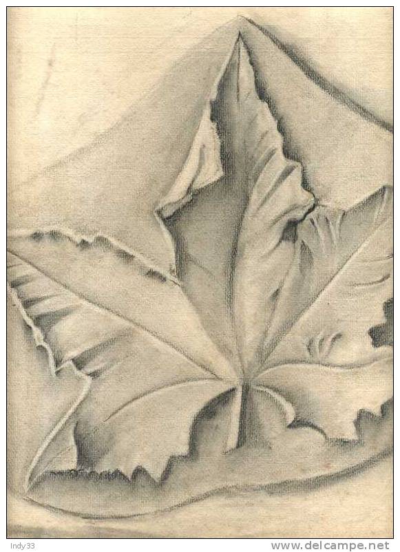 - FEUILLE D´ARBRE . DESSIN D´ELEVE  SIGNE - Drawings