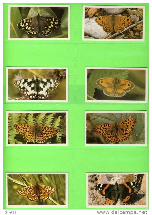 CARTES CIGARETTES CARDS - JOHN PLAYER & SONS - GRANDEE BRITISH BUTTERFLIES - COMPLETE SET OF  32 - ISSUE 1985 - - Player's