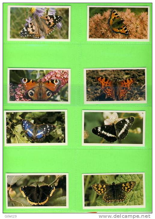 CARTES CIGARETTES CARDS - JOHN PLAYER & SONS - GRANDEE BRITISH BUTTERFLIES - COMPLETE SET OF  32 - ISSUE 1985 - - Player's