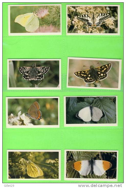 CARTES CIGARETTES CARDS - JOHN PLAYER & SONS - GRANDEE BRITISH BUTTERFLIES - COMPLETE SET OF  32 - ISSUE 1985 - - Player's