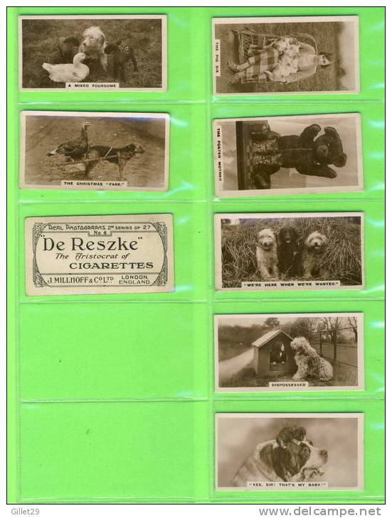 CARTES CIGARETTES CARDS - J. MILLHOFF & CO - CATS,DOGS,HORSES ,DUCKS,COMICS - REAL PHOTO 2nd SERIES OF  27 - DE RESZKE - - Collections & Lots