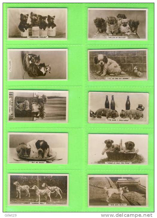 CARTES CIGARETTES CARDS - J. MILLHOFF & CO LTD - CATS, DOGS, HORSES, COMICS - REAL PHOTO 3rd SERIES OF  27 - DE RESZKE - - Verzamelingen & Kavels