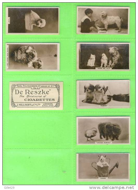 CARTES CIGARETTES CARDS - J. MILLHOFF & CO LTD - CATS, DOGS, HORSES, COMICS - REAL PHOTO 3rd SERIES OF  27 - DE RESZKE - - Collections & Lots