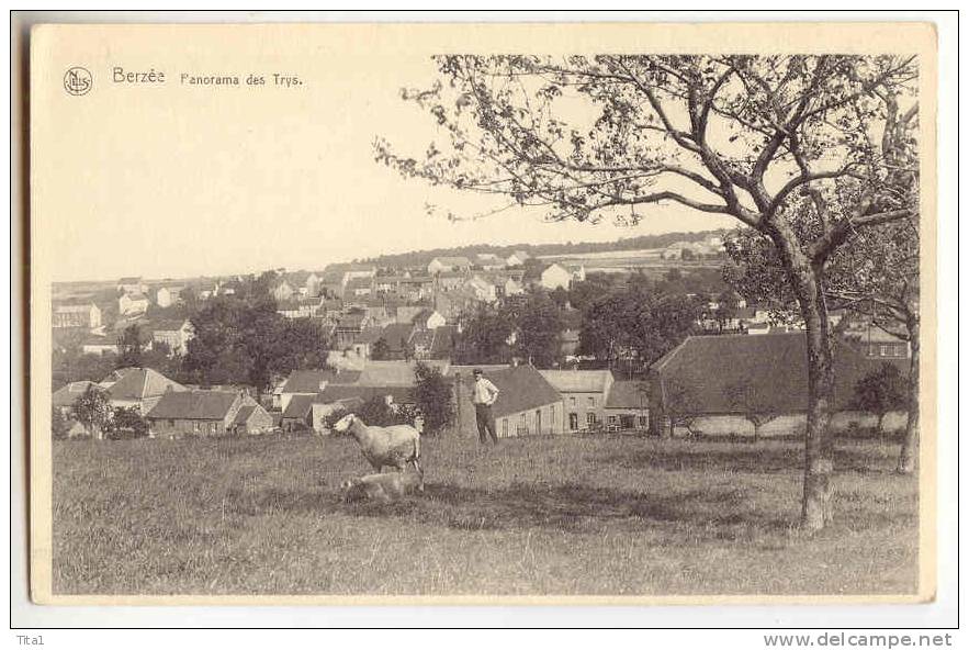 C9859 - Berzée - Panorama Des Trys - Walcourt