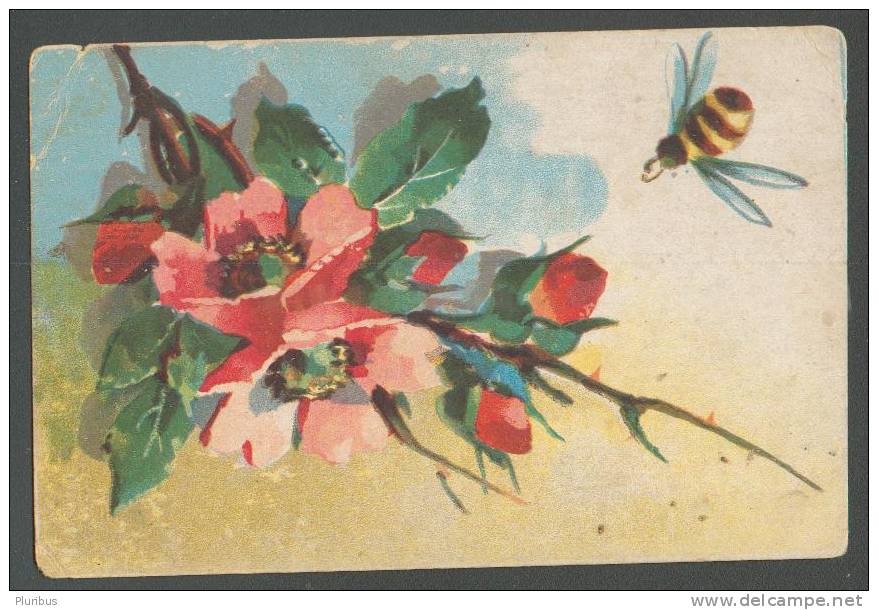 BEE, HONEYBEE ON BRIER, VINTAGE IMPERIAL RUSSIAN POSTCARD - Insectos