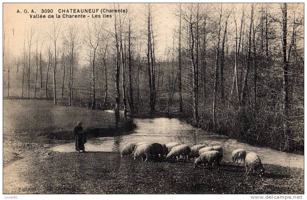 CHATEAUNEUF : (16) Vallée De La Charente. Les Iles - Chateauneuf Sur Charente