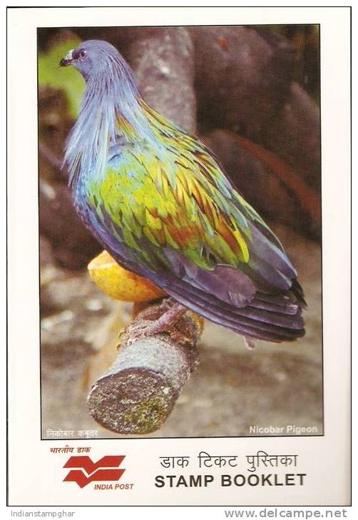 Indien Stamp Booklet 4MNH Stmp.Endangered Bird,Ltd - Columbiformes