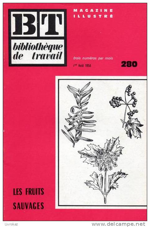 BT N°280 (1954) : Les Fruits Sauvages. Bibliothèque De Travail. Freinet. - 6-12 Jahre