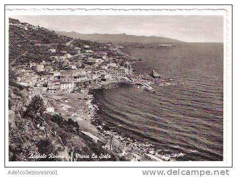 22001)cartolina Illustratoria  Acireale Riviera E  Panorama - Acireale