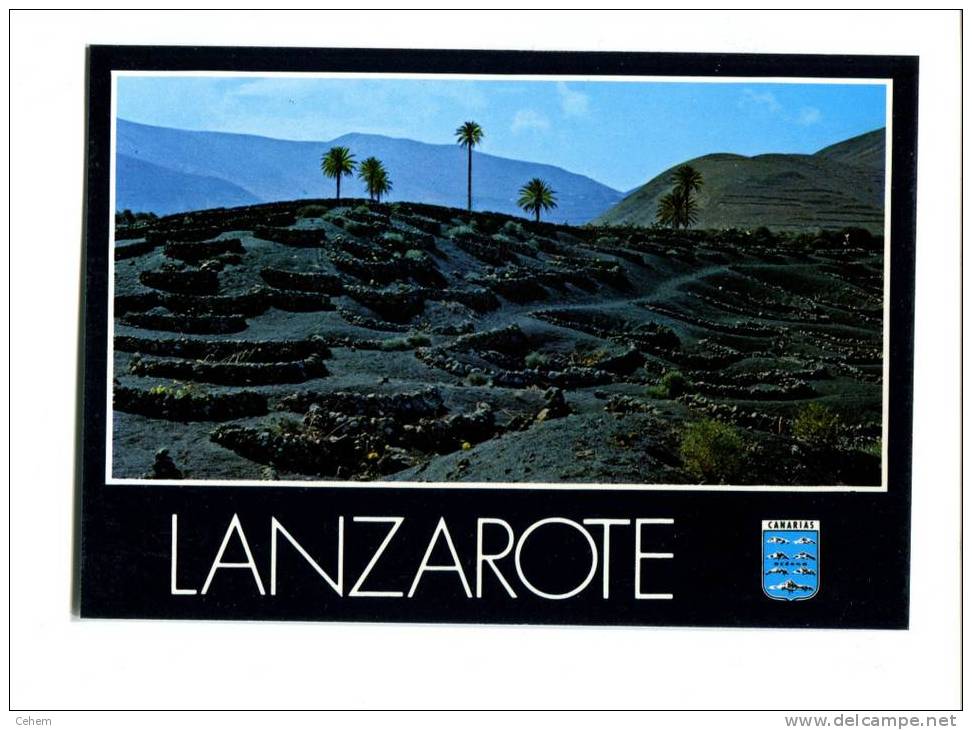 ESPAGNE CANARIES ISLAS CANARIAS LANZAROTE VINEDOS - Lanzarote