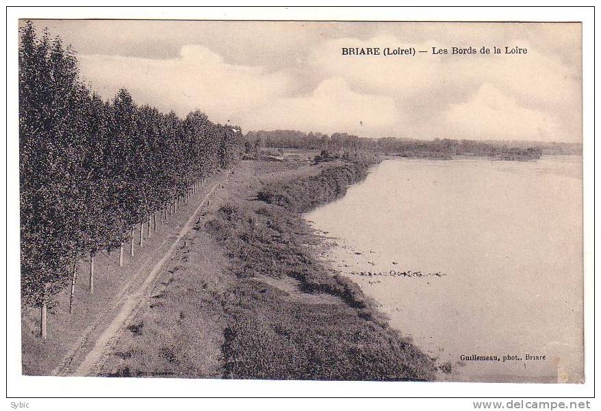 BRIARE- Les Bords De La Loire - Briare