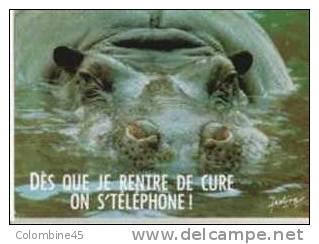 Cpm Hippopotame Hippo - Flusspferde