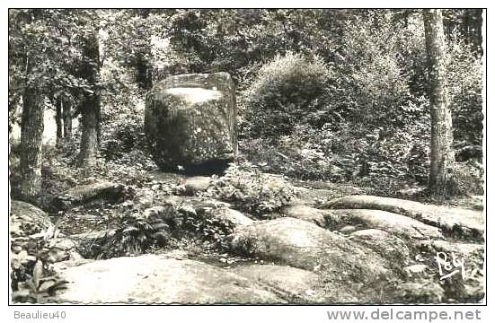 24   SAINT ESTÈPHE  Près De Nontron   LE ROC BRANLANT  Dit Casso Nausillo - Dolmen & Menhirs