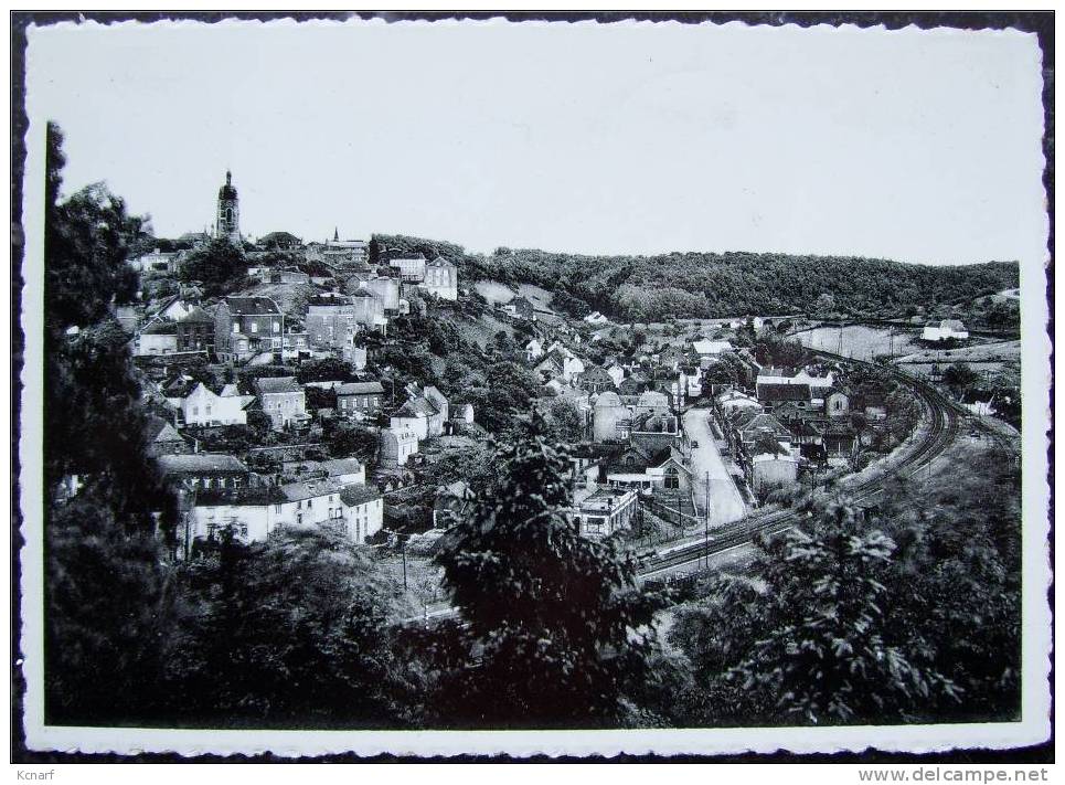 CP De THUIN " Vue Prise Du Château De Beauregard " . - Thuin