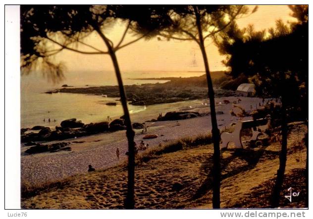 BEG MEIL -  La Plage Des Dunes Par Un Soir D´été - N° MX 2437 - Beg Meil