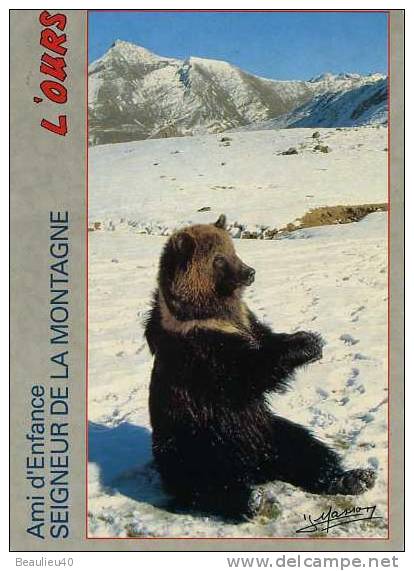 L'OURS  AMI D'ENFANCE, SEIGNEUR DE LA MONTAGNE - Osos