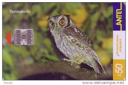 Télécarte à Puce URUGUAY - ANIMAL - Oiseau HIBOU - OWL Bird Birds Phonecard - EULE Vogel - 188 - Uruguay