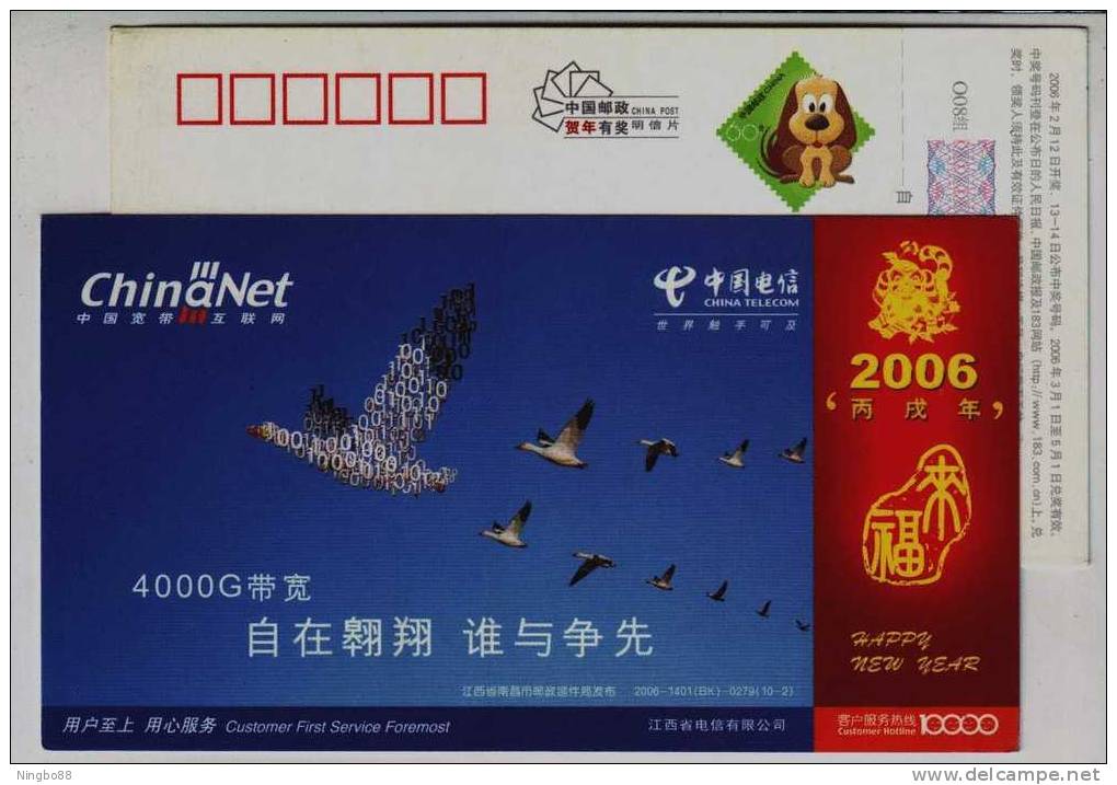 Goose Bird,China 2006 Jiangxi Telecom Advertising Pre-stamped Card - Gänsevögel