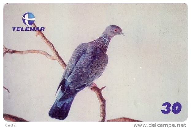 Télécarte Brésil - ANIMAL - Oiseau PIGEON COLOMBE - Brazil Brasil DOVE BIRD Phonecard - TAUBE Vogel TK / TELEMAR - 60 - Brésil